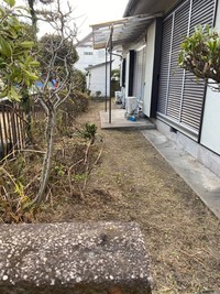 1610154408098_コピー