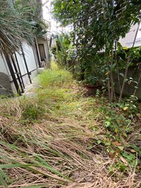 1610154438861_コピー