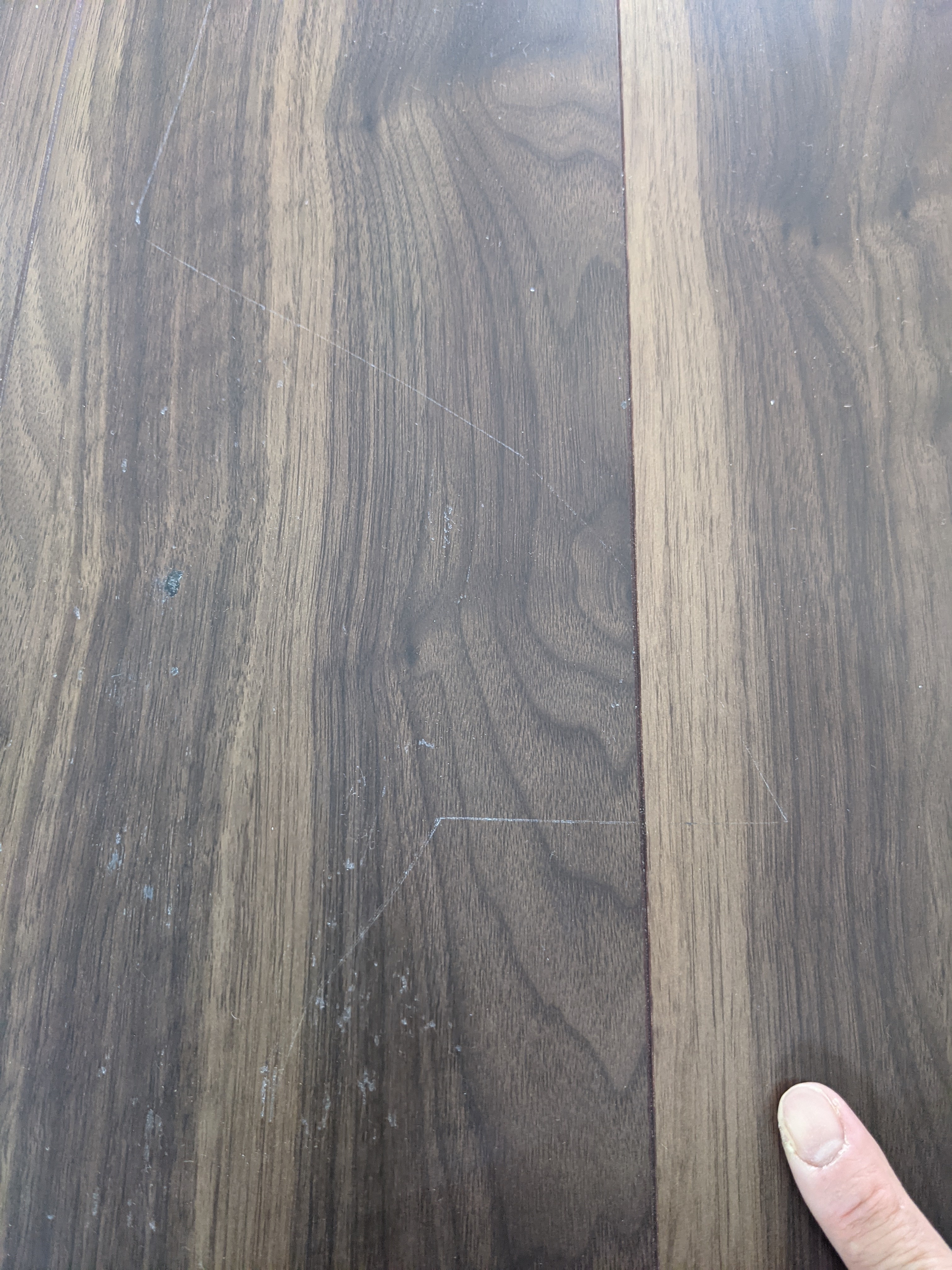 PXL_20210910_042902534.MP