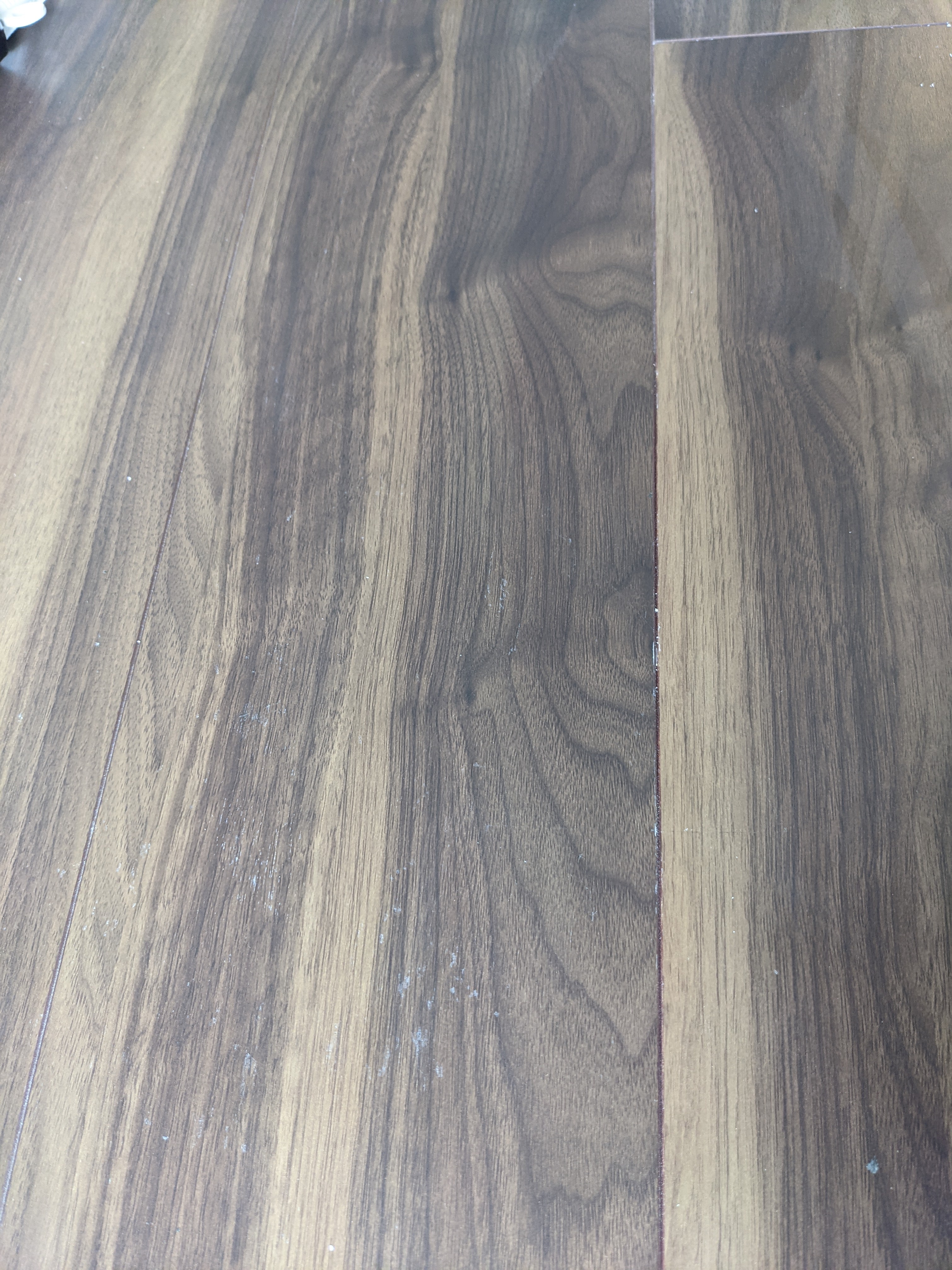 PXL_20210910_045903179.MP